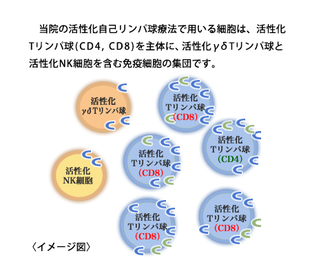 活性化自己リンパ球