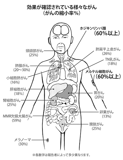 効果が確認されている様々ながん