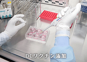 DCワクチン添加