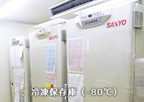 冷凍保存庫（-80℃）