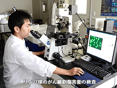 リンパ球のがん細胞傷害能の検査