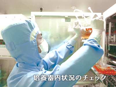 培養器内状況のチェック