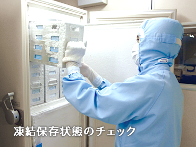 凍結保存状態のチェック
